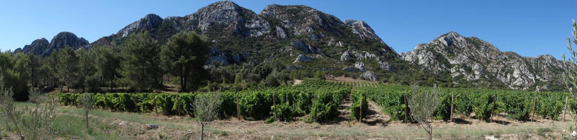 Les Lavandins-Gite Magali Saint-Rémy-de-Provence Exteriér fotografie