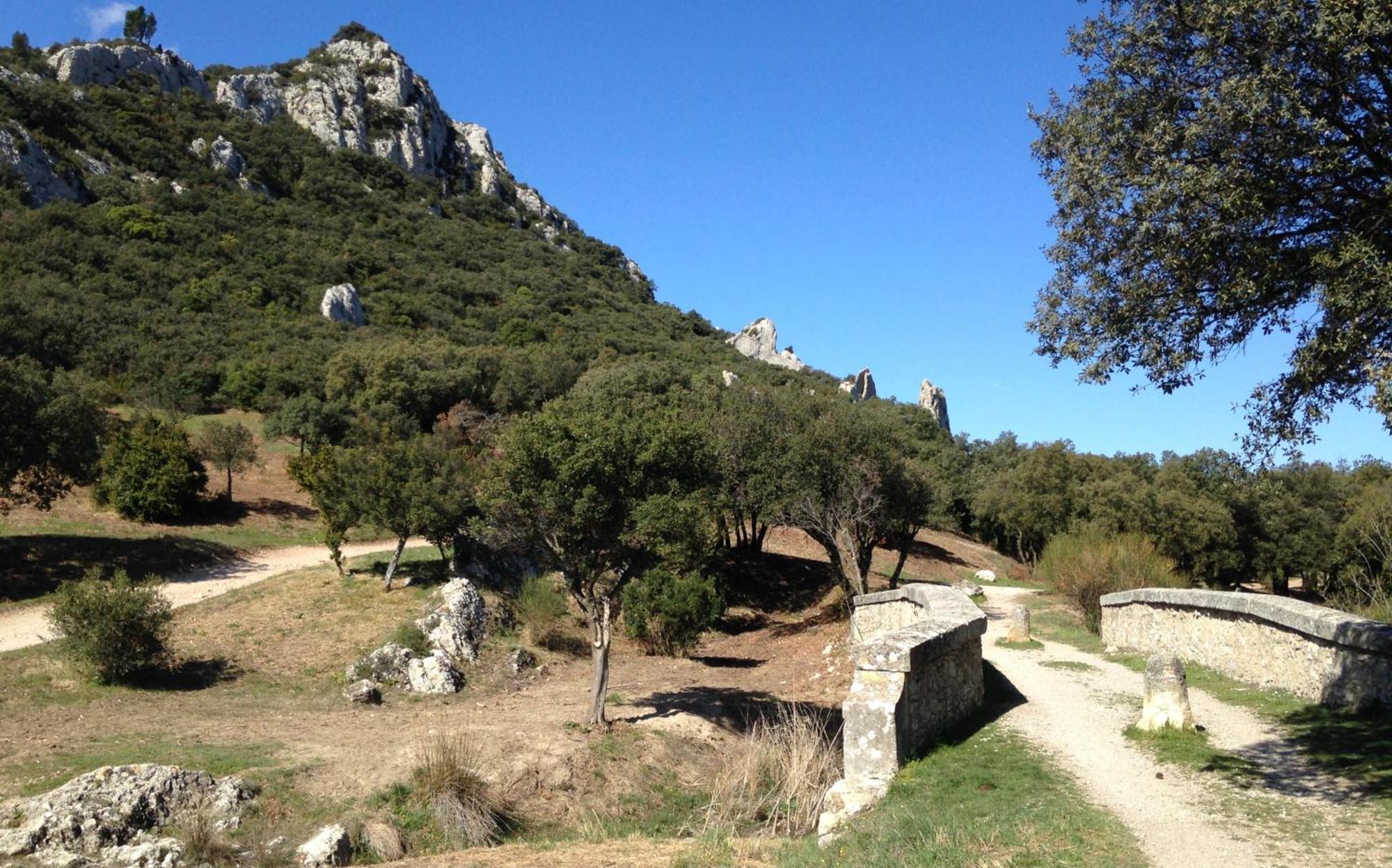 Les Lavandins-Gite Magali Saint-Rémy-de-Provence Exteriér fotografie