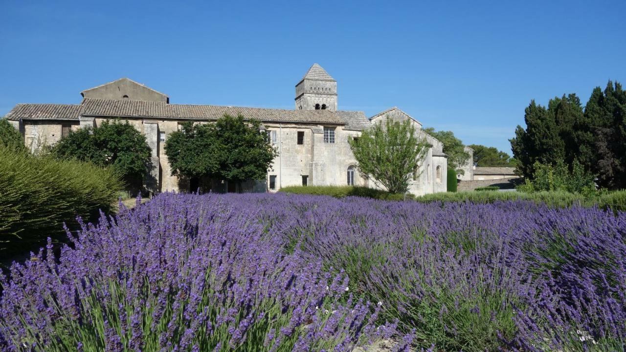 Les Lavandins-Gite Magali Saint-Rémy-de-Provence Exteriér fotografie