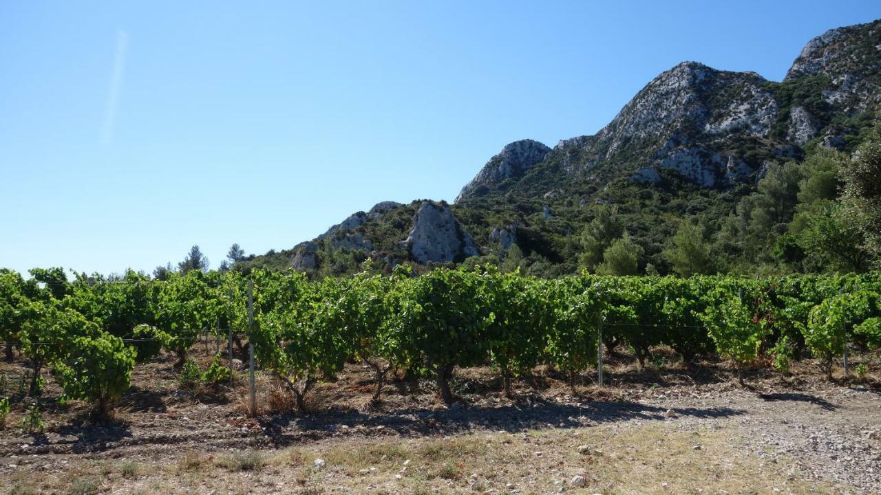 Les Lavandins-Gite Magali Saint-Rémy-de-Provence Exteriér fotografie