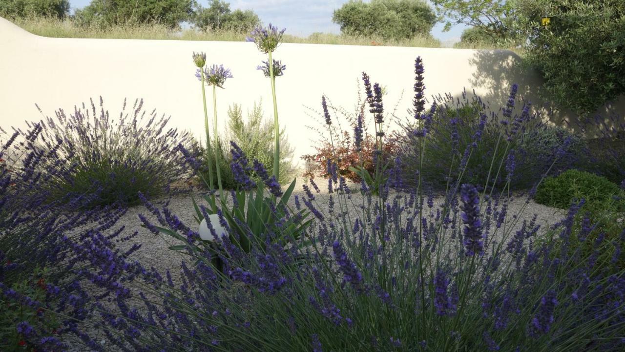 Les Lavandins-Gite Magali Saint-Rémy-de-Provence Exteriér fotografie