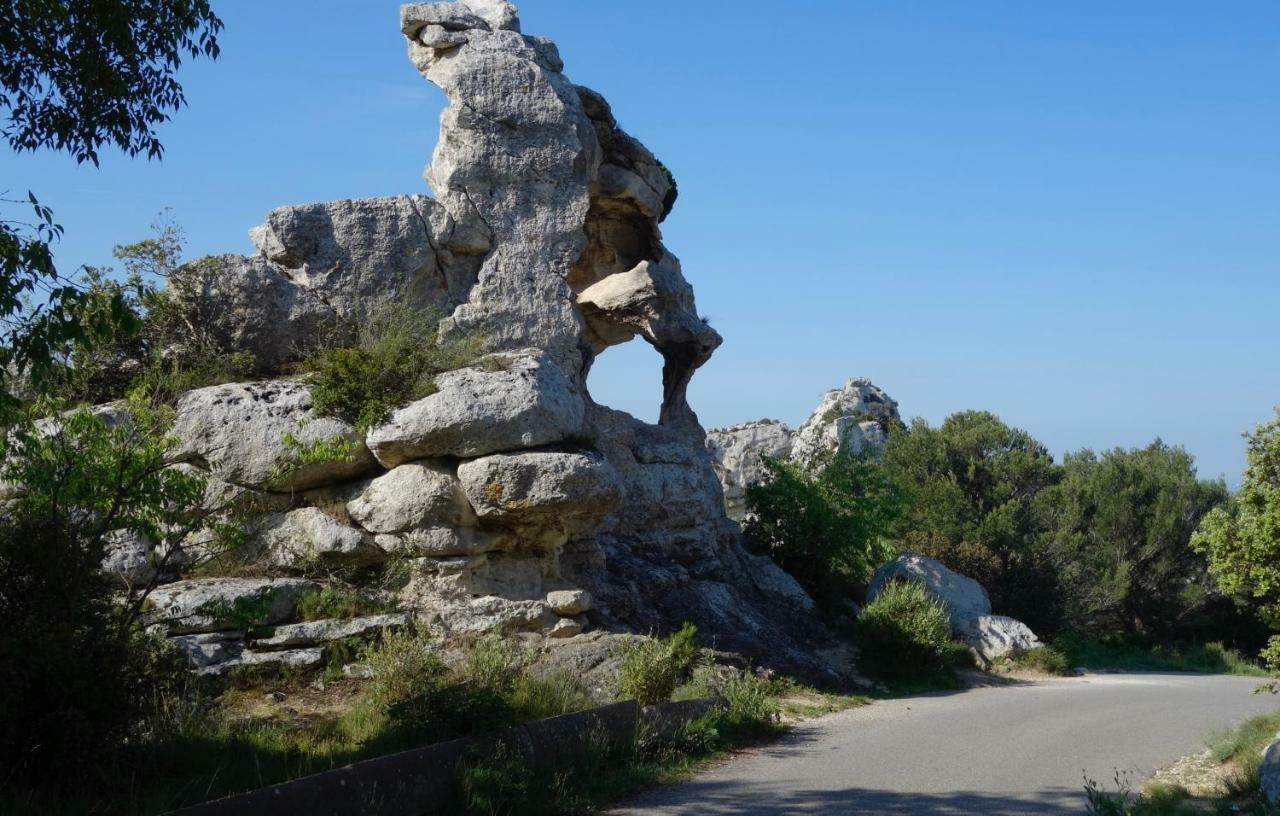 Les Lavandins-Gite Magali Saint-Rémy-de-Provence Exteriér fotografie