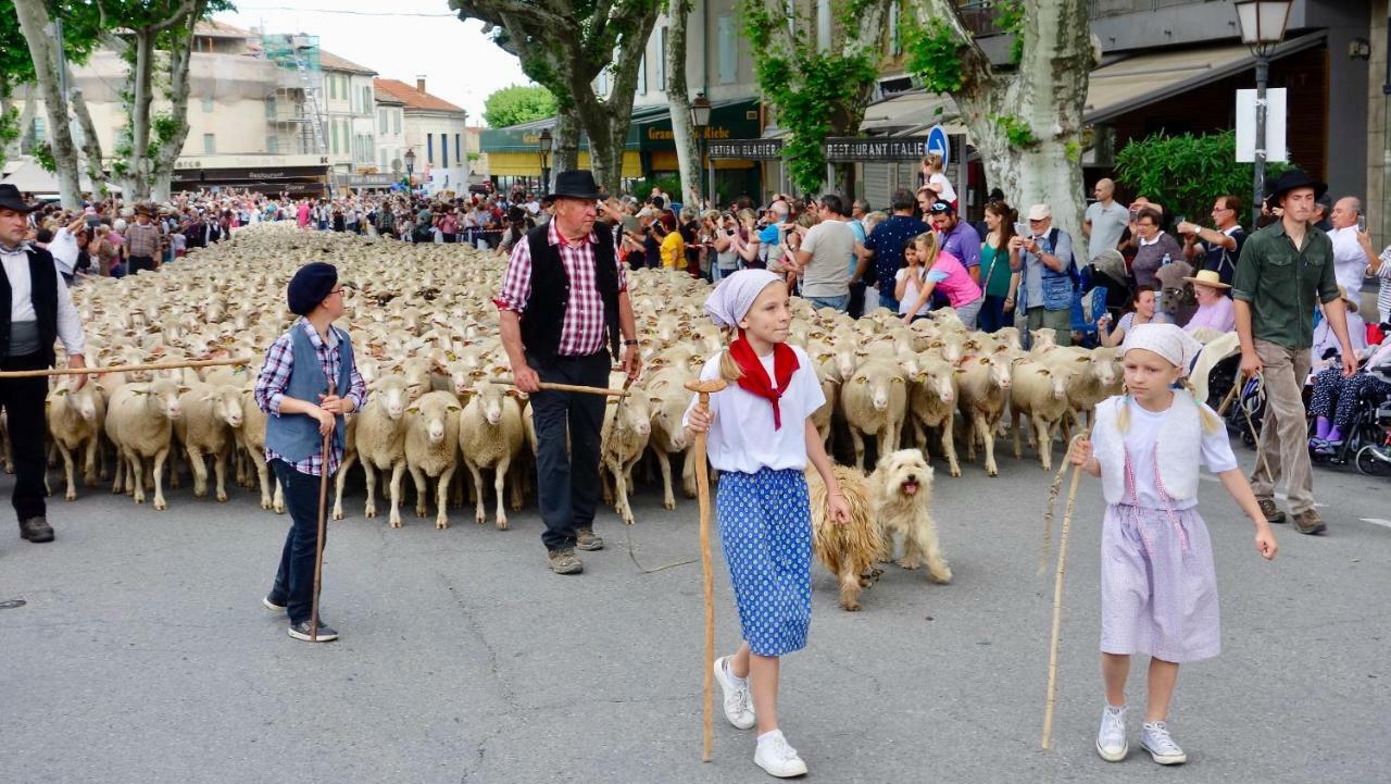 Les Lavandins-Gite Magali Saint-Rémy-de-Provence Exteriér fotografie