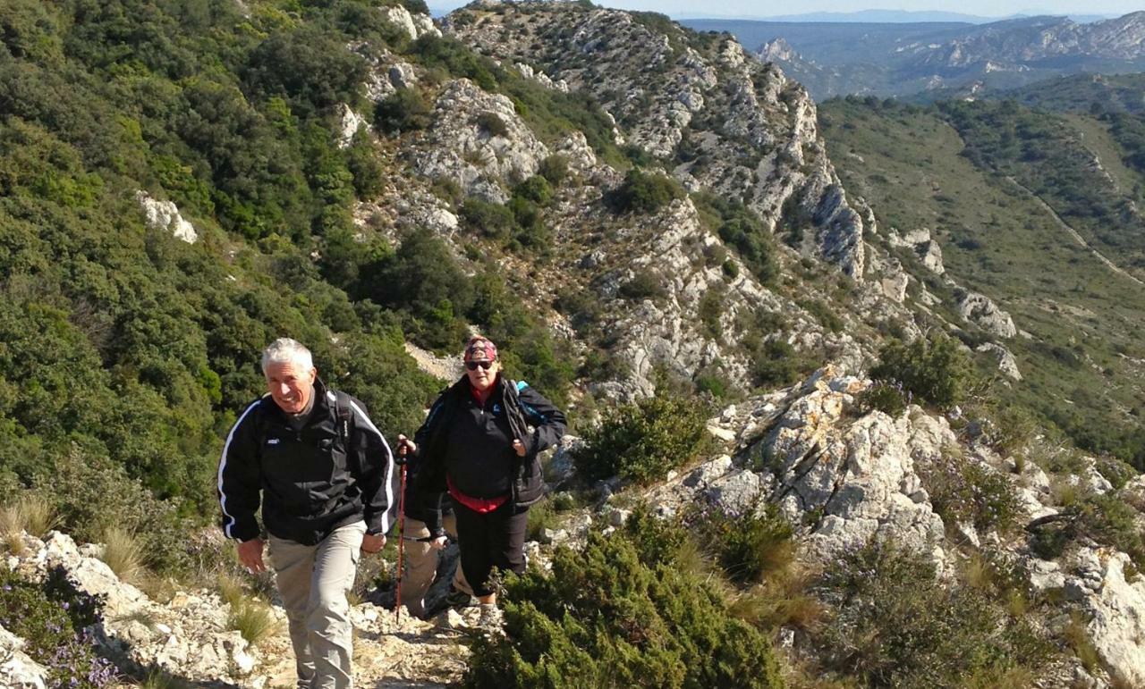Les Lavandins-Gite Magali Saint-Rémy-de-Provence Exteriér fotografie